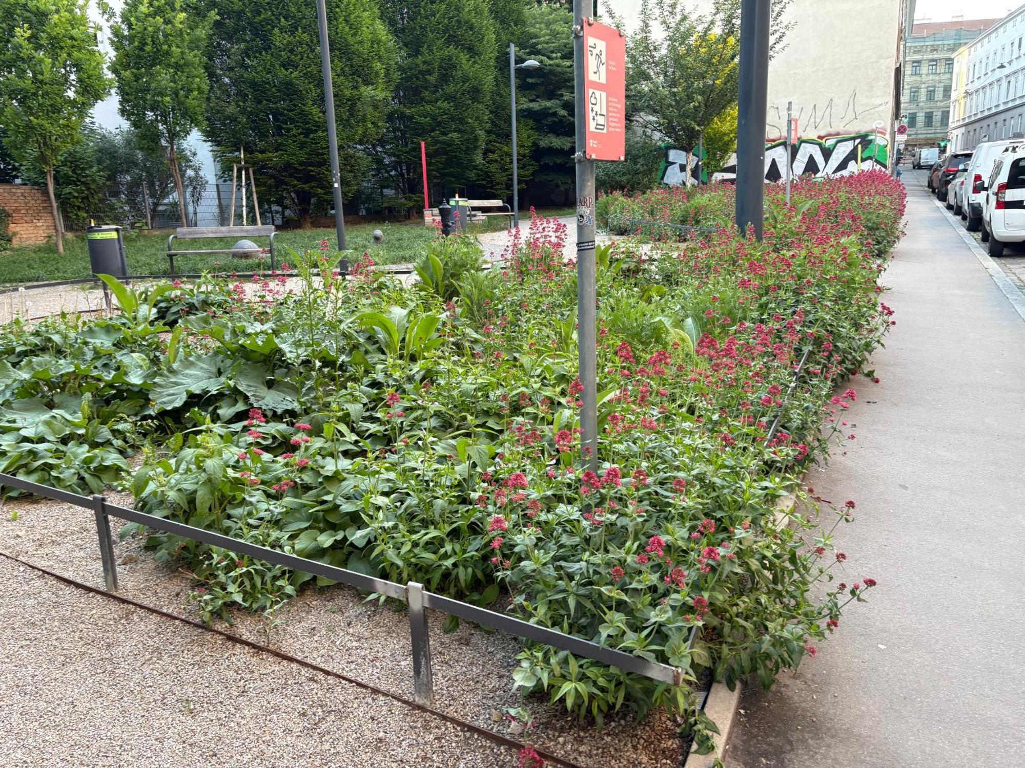 Apartment Modernes 60m2 Erdgeschoss Mit Gartenblick - Hundefreundlich Naehe Westbahnhof T5 *